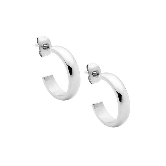 Stainless Steel  Earrings    