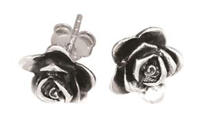 Sterling Silver Earrings     *99893